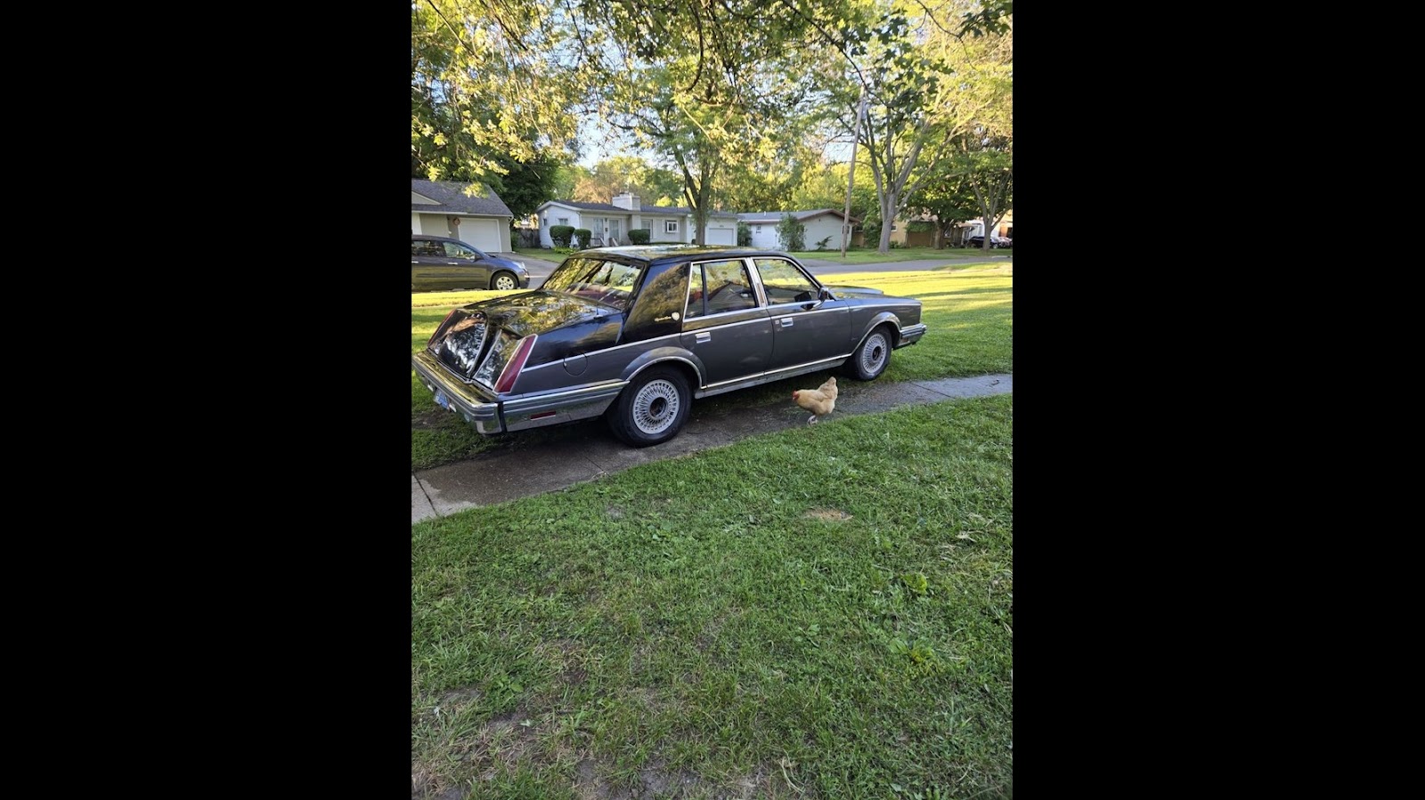 Automotive Dream Team in Flint
