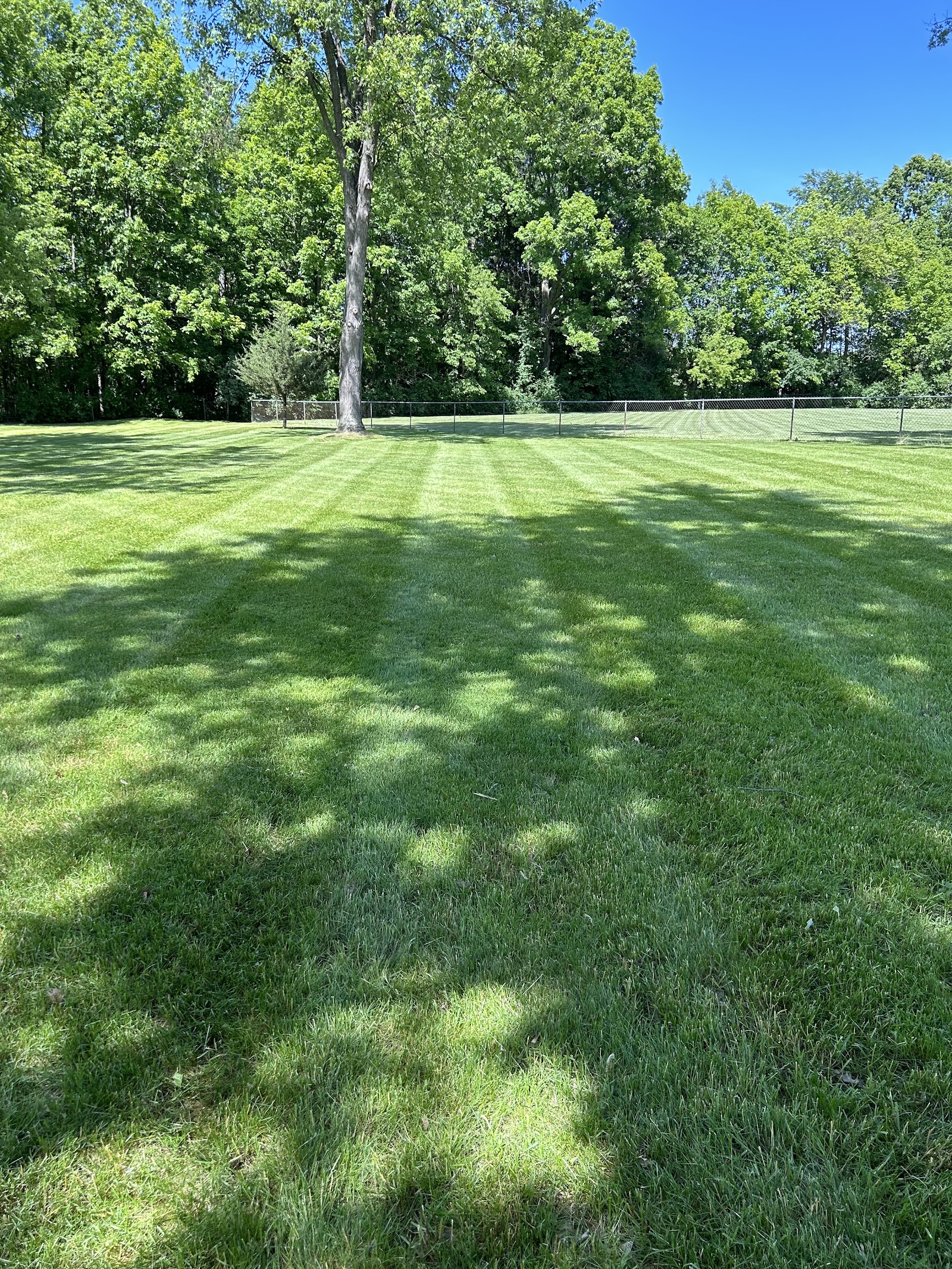 Diamond Mow Masters, LLC in