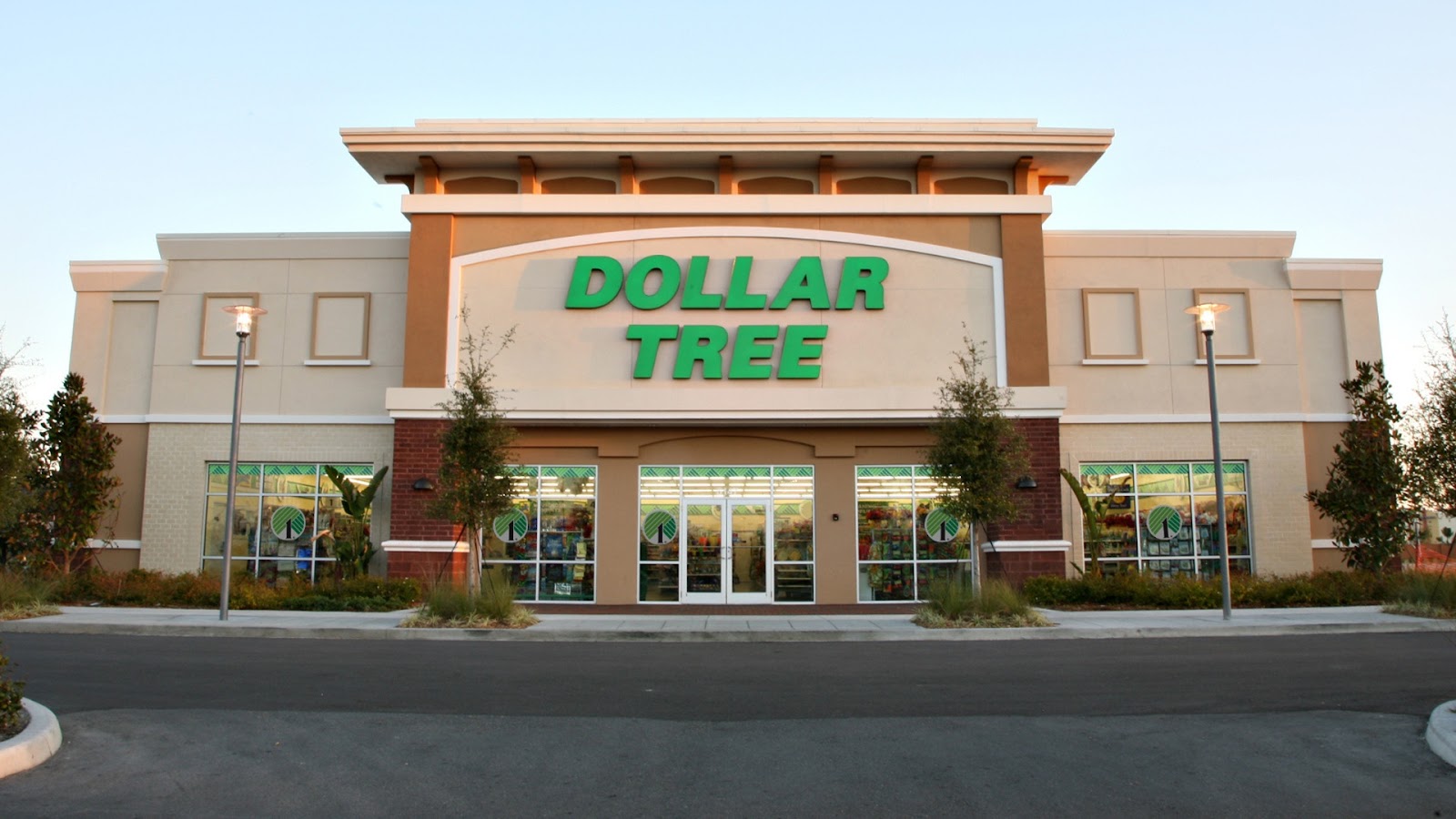 Dollar Tree in Flint