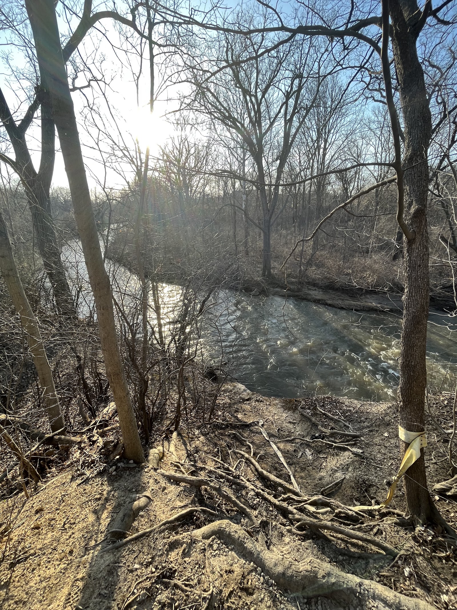Happy Hollow Nature Area in Flint