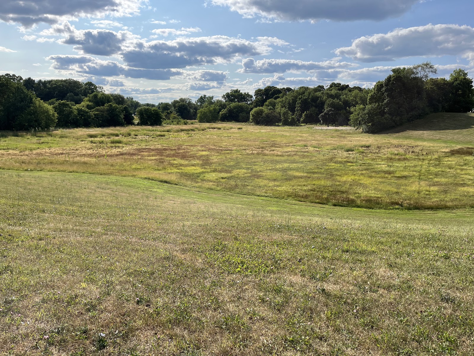 Kearsley Park in Flint