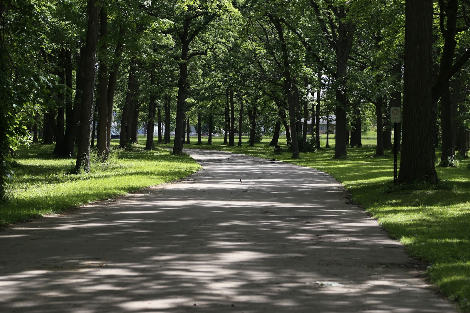 Max Brandon Park in Flint