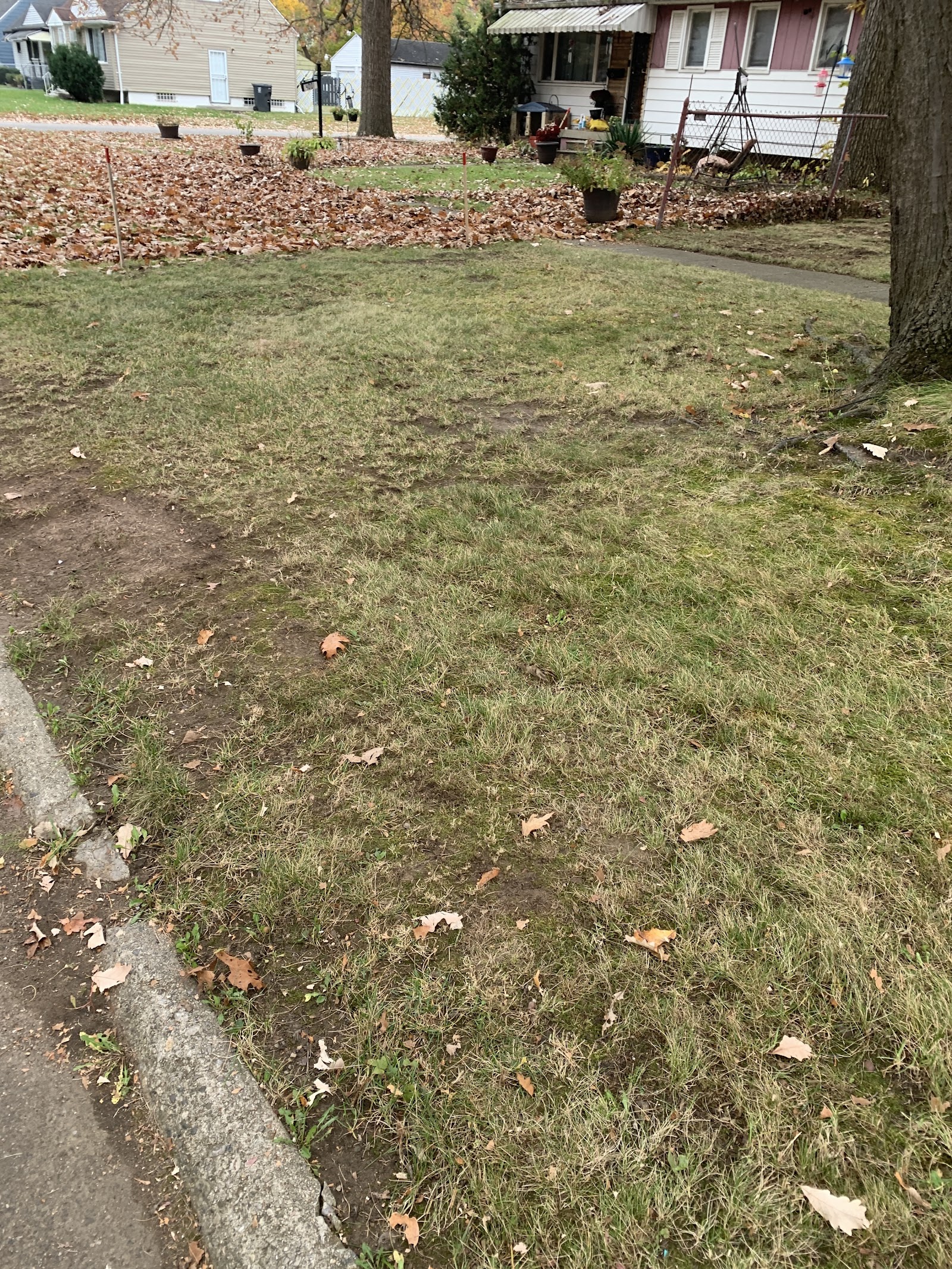 MI Premier Lawn Care, L.L.C. in