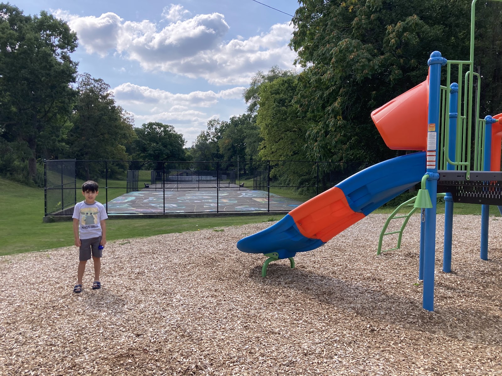 Mott Park in Flint