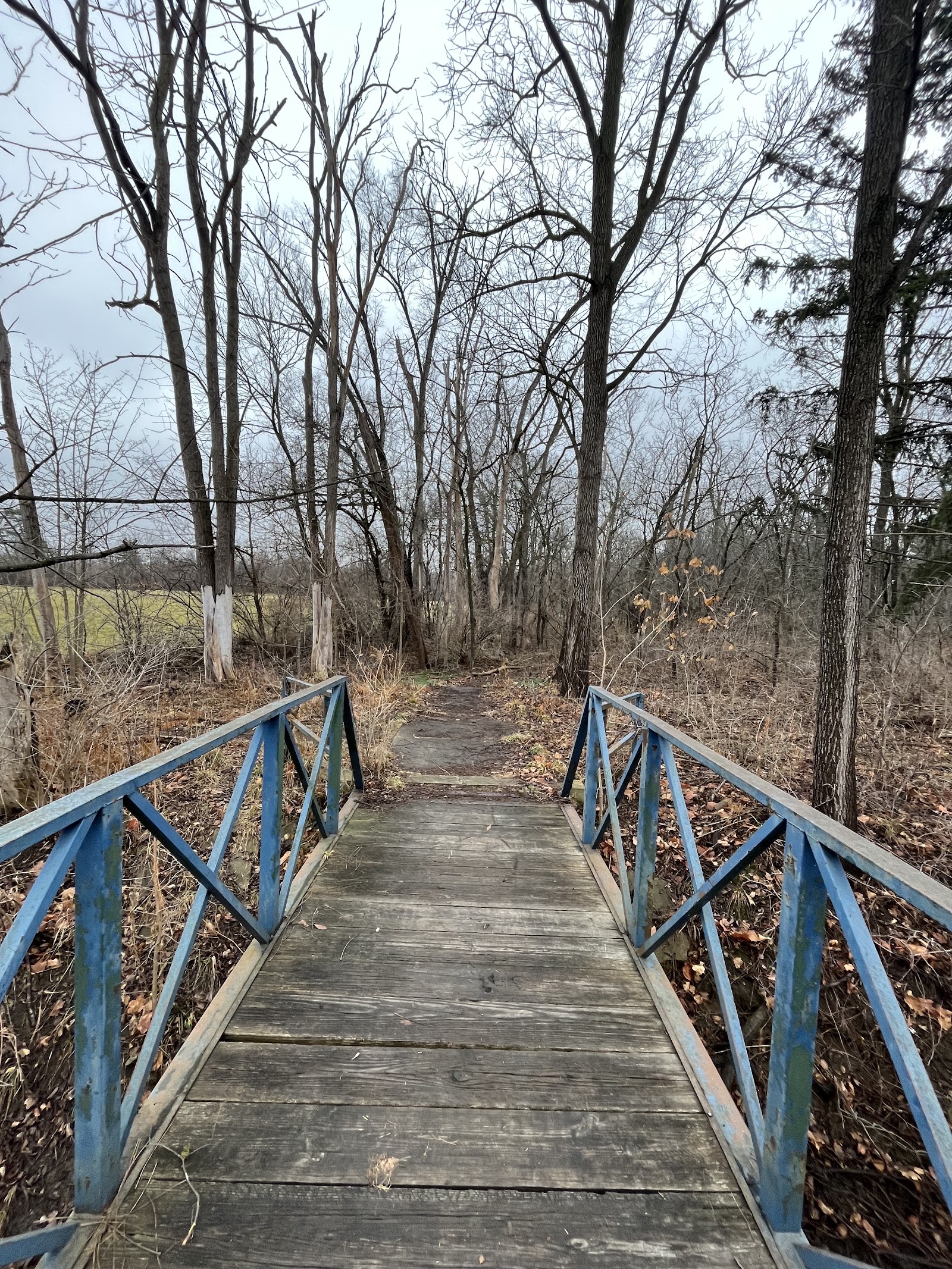 Pierce Park in Flint
