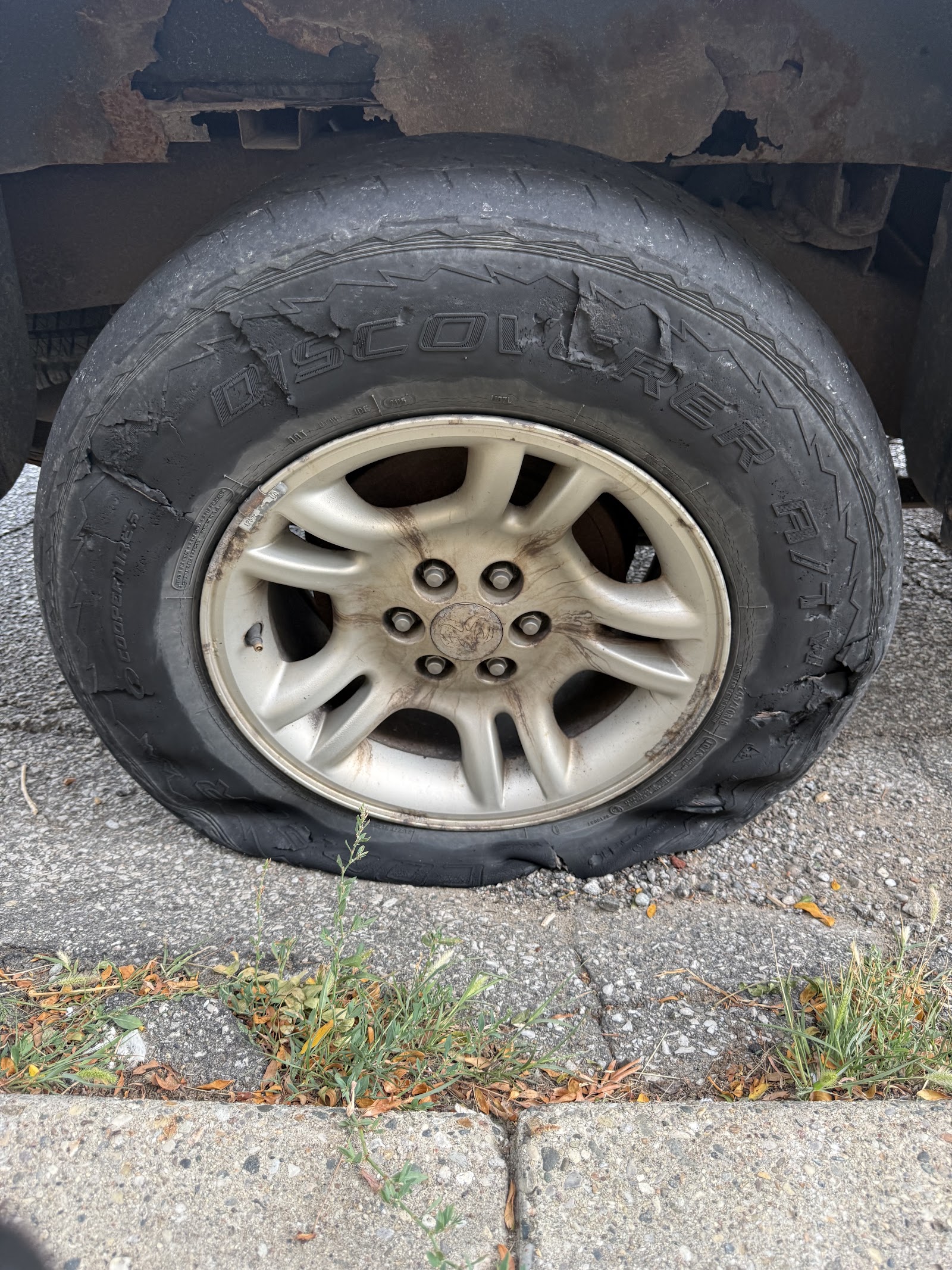 Roadside 1 in