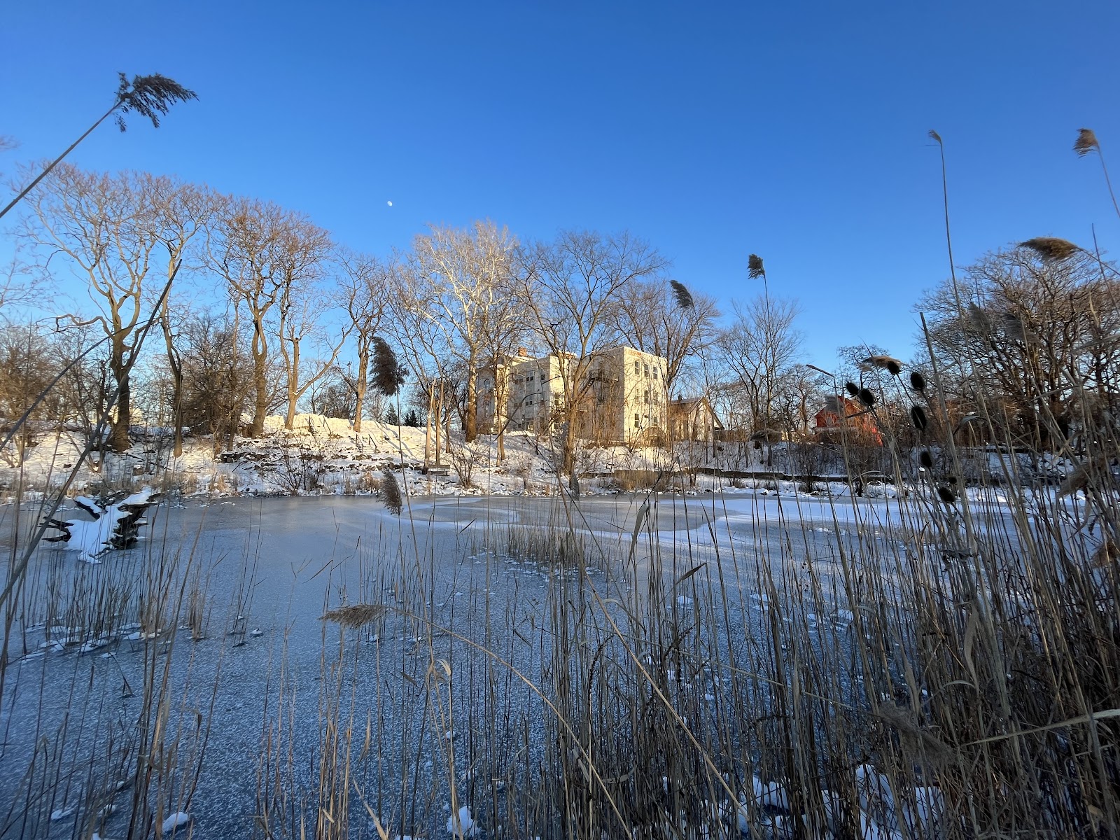 Spring Grove Park — photo