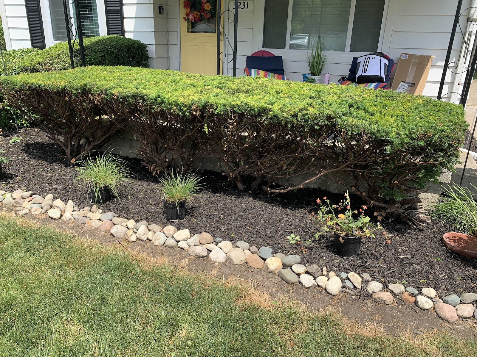 Spruce Landscaping in